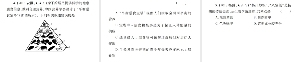 （江西专版）中考生物总复习 五 生物圈中的人（人的食物来源于环境）教材整理课件-人教版初中九年级全册生物课件