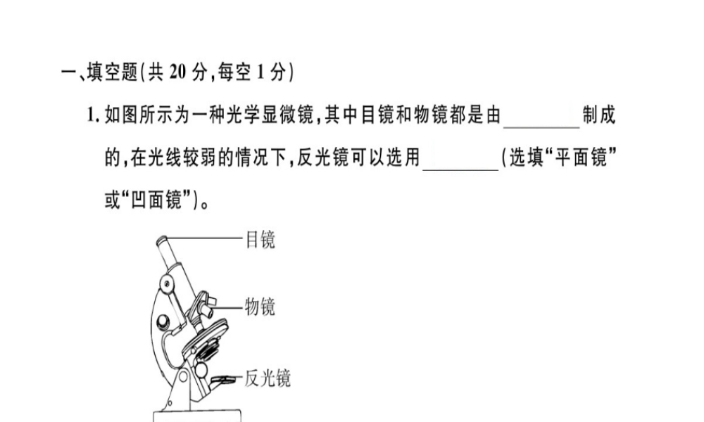 （江西专版）八年级物理上册 第五章 透镜及其应用检测卷习题课件 （新版）新人教版-（新版）新人教版初中八年级上册物理课件