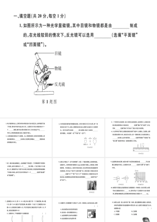 （江西专版）八年级物理上册 第五章 透镜及其应用检测卷习题课件 （新版）新人教版-（新版）新人教版初中八年级上册物理课件