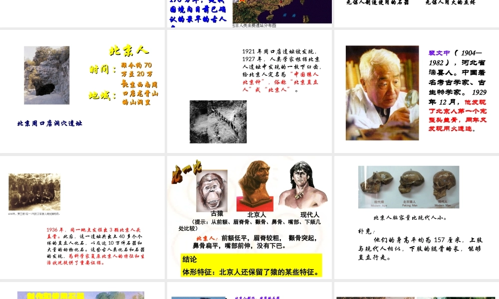 （水滴系列）（秋级历史上册 第一单元 第1课 中国早期人类的代表-北京人课件4 新人教版-新人教级上册历史课件