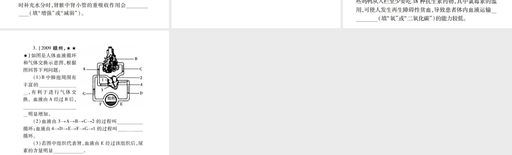 （江西专版）中考生物总复习 五 生物圈中的人（人体代谢废物的排出）教材整理课件-人教版初中九年级全册生物课件
