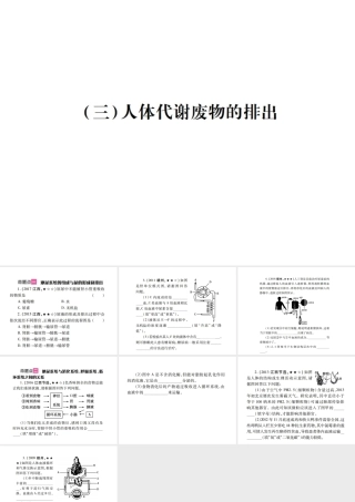 （江西专版）中考生物总复习 五 生物圈中的人（人体代谢废物的排出）教材整理课件-人教版初中九年级全册生物课件