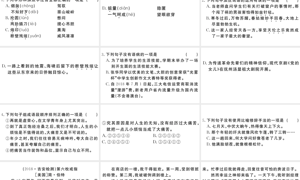 （江西专用）九年级语文下册 第二单元 8 蒲柳人家（节选）习题课件 新人教版-新人教版初中九年级下册语文课件