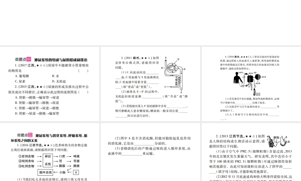 （江西专版）中考生物总复习 五 生物圈中的人（人体代谢废物的排出）教材整理课件-人教级全册生物课件