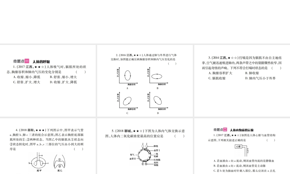 （江西专版）中考生物总复习 五 生物圈中的人（人体生命活动的能量供给）教材整理课件-人教版初中九年级全册生物课件