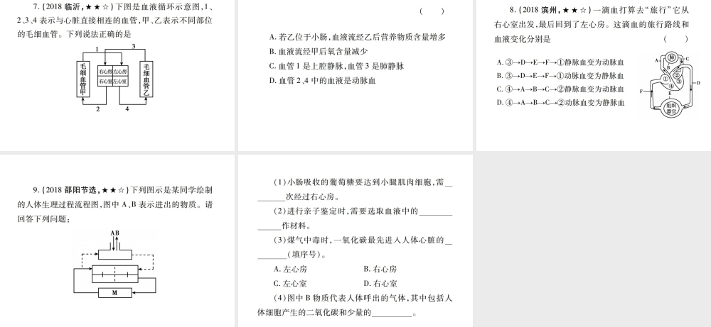 （江西专版）中考生物总复习 五 生物圈中的人（人体生命活动的能量供给）教材整理课件-人教级全册生物课件