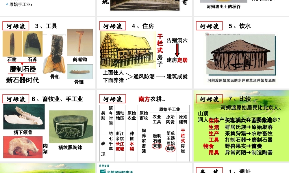（水滴系列）（秋级历史上册 第一单元 第2课 原始农耕生活课件1 新人教版-新人教级上册历史课件