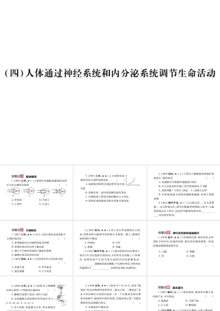 （江西专版）中考生物总复习 五 生物圈中的人（人体通过神经系统和内分泌系统调节生命活动）教材整理课件-人教级全册生物课件