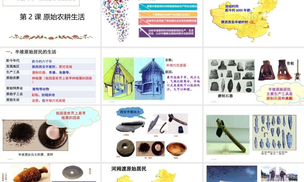 （水滴系列）（秋级历史上册 第一单元 第2课 原始农耕生活课件3 新人教版-新人教级上册历史课件