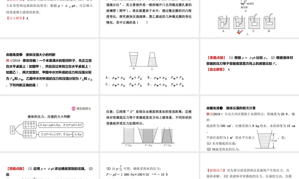 （江西专版）中考物理总复习 第八讲 压强考点精讲课件-人教版初中九年级全册物理课件