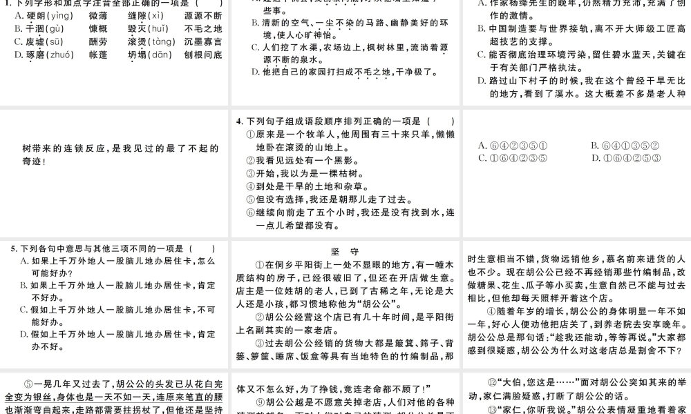 （江西专版）七年级语文上册 第四单元 13 植树的牧羊人习题课件 新人教版-新人教版初中七年级上册语文课件