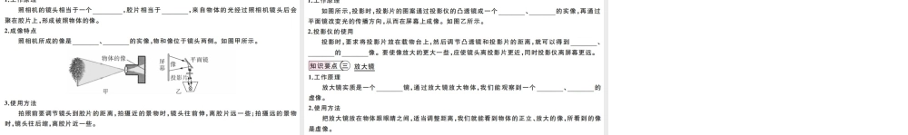（江西专版）2019秋八年级物理上册 第五章 第2节 生活中的透镜课件