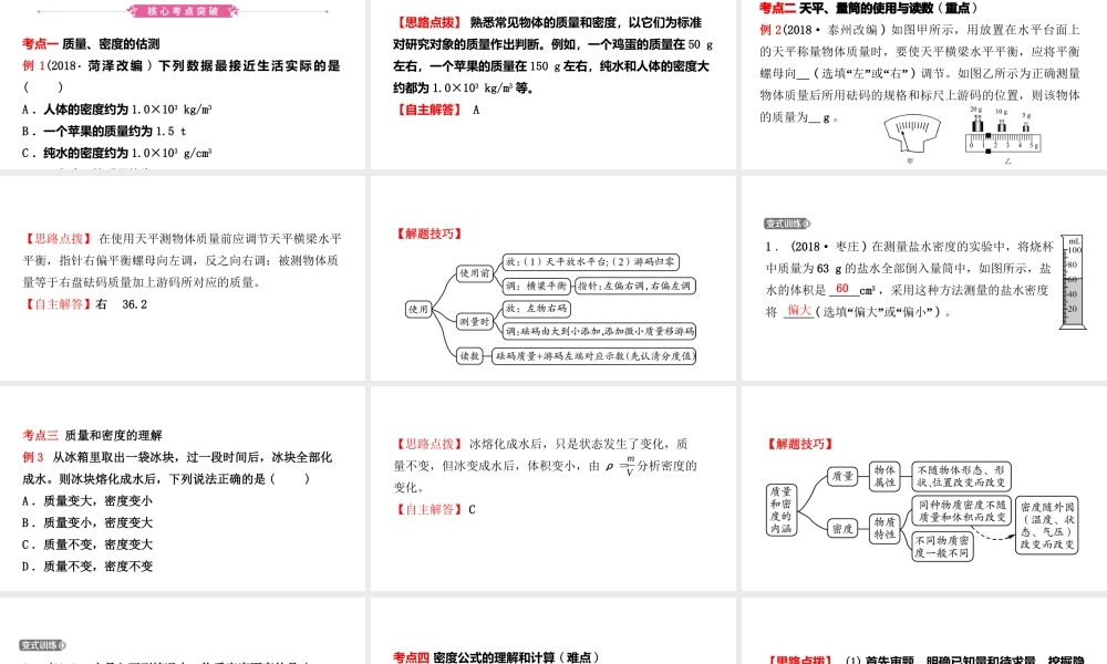 （江西专版）中考物理总复习 第六讲 质量与密度考点精讲课件-人教版初中九年级全册物理课件