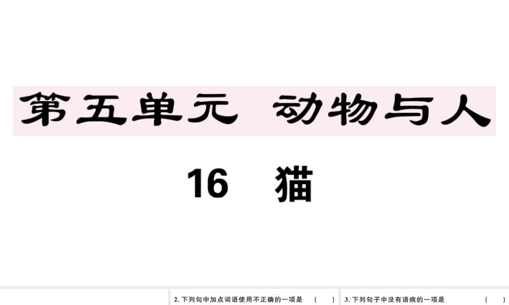 （江西专版）七年级语文上册 第五单元 16 猫习题课件 新人教版-新人教版初中七年级上册语文课件