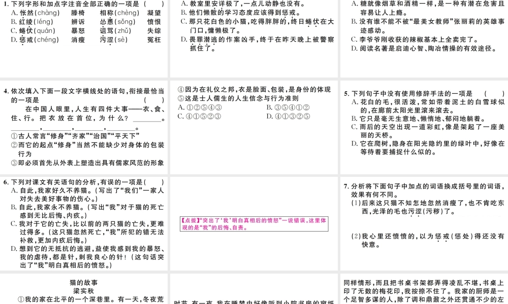 （江西专版）七年级语文上册 第五单元 16 猫习题课件 新人教版-新人教版初中七年级上册语文课件