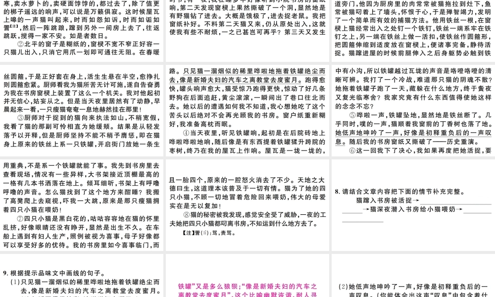 （江西专版）七年级语文上册 第五单元 16 猫习题课件 新人教版-新人教版初中七年级上册语文课件