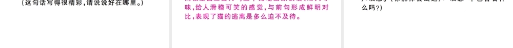 （江西专版）七年级语文上册 第五单元 16 猫习题课件 新人教版-新人教版初中七年级上册语文课件