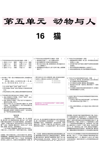 （江西专版）七年级语文上册 第五单元 16 猫习题课件 新人教版-新人教版初中七年级上册语文课件