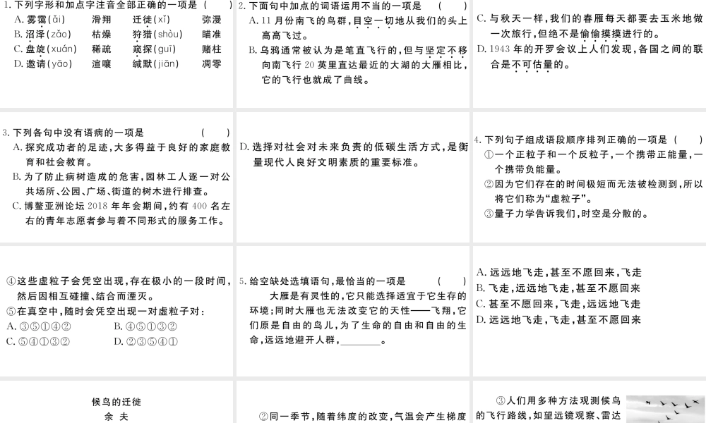 （江西专版）八年级语文下册 第二单元 7 大雁归来习题课件 新人教版-新人教版初中八年级下册语文课件
