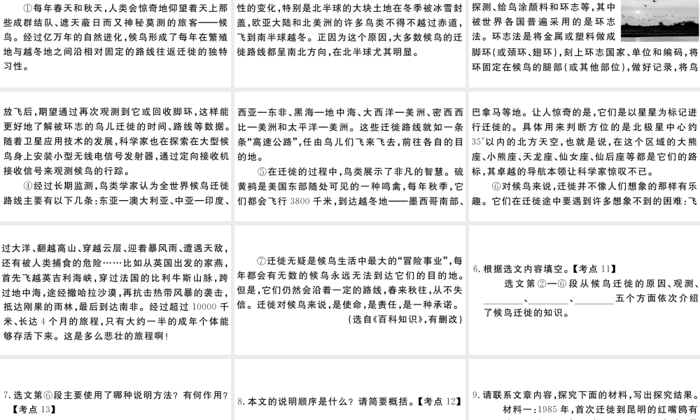 （江西专版）八年级语文下册 第二单元 7 大雁归来习题课件 新人教版-新人教版初中八年级下册语文课件