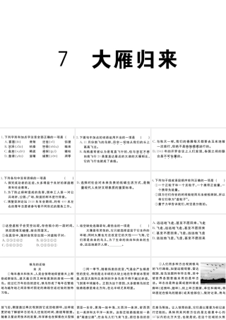 （江西专版）八年级语文下册 第二单元 7 大雁归来习题课件 新人教版-新人教版初中八年级下册语文课件