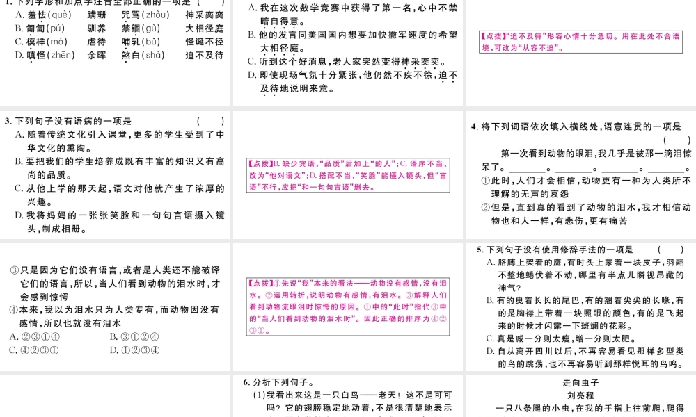 （江西专版）七年级语文上册 第五单元 17动物笑谈习题课件 新人教版-新人教版初中七年级上册语文课件
