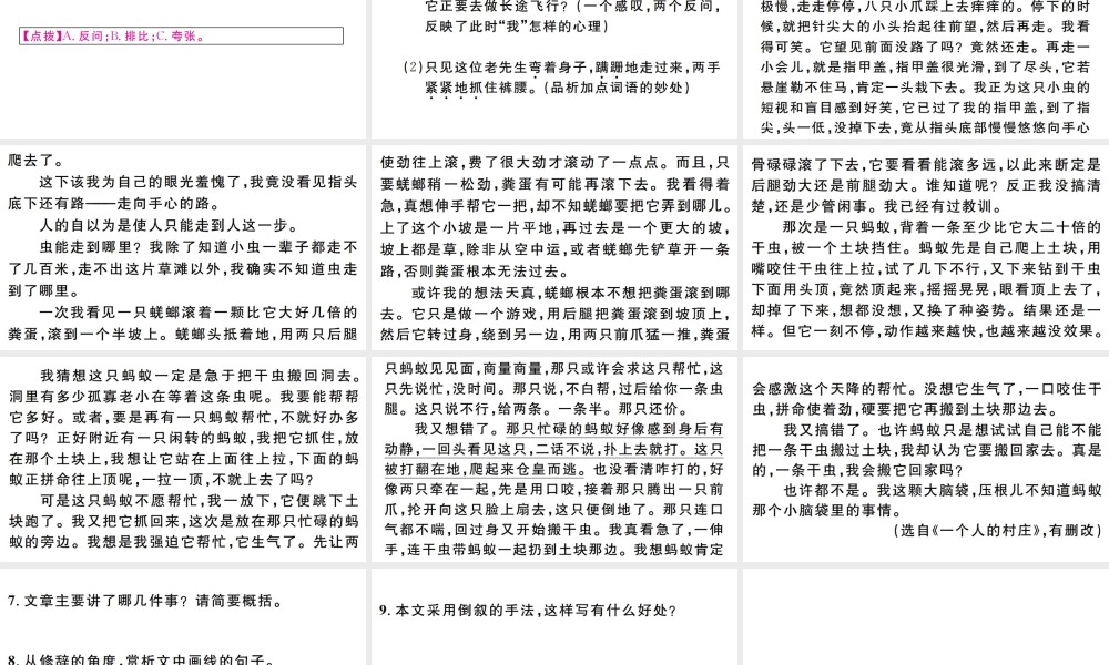 （江西专版）七年级语文上册 第五单元 17动物笑谈习题课件 新人教版-新人教版初中七年级上册语文课件