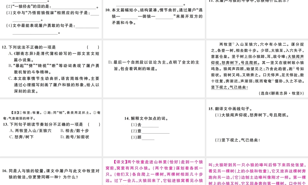 （江西专版）七年级语文上册 第五单元 18 狼习题课件 新人教版-新人教版初中七年级上册语文课件