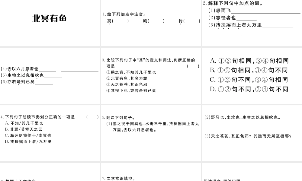 （江西专版）八年级语文下册 第六单元 21《庄子》二则习题课件 新人教版-新人教版初中八年级下册语文课件