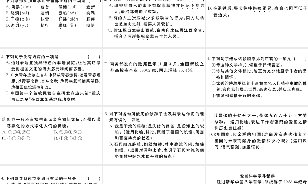 （江西专用）九年级语文下册 第一单元 1 祖国啊，我亲爱的祖国习题课件 新人教版-新人教版初中九年级下册语文课件