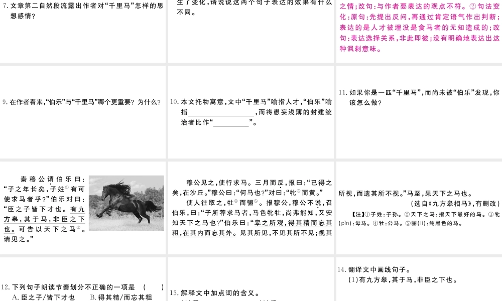 （江西专版）八年级语文下册 第六单元 23 马说习题课件 新人教版-新人教版初中八年级下册语文课件