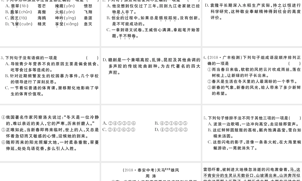 （江西专用）九年级语文下册 第一单元 4 海燕习题课件 新人教版-新人教版初中九年级下册语文课件