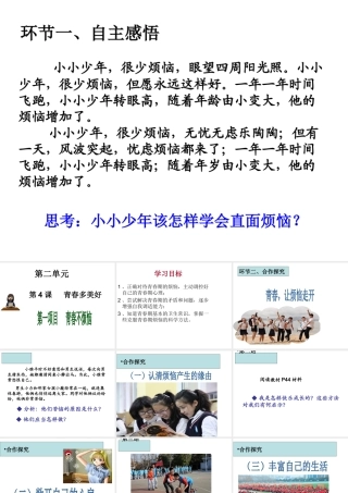 （水滴系列）（秋季版）七年级道德与法治上册 第二单元 青春的脚步 青春的气息 第四课 青春多美好 第1框 青春不烦恼课件2 鲁人版六三制-鲁人版初中七年级上册政治课件