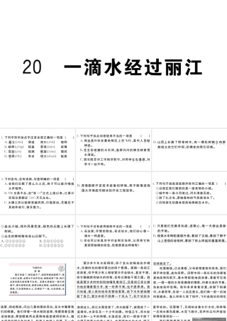 （江西专版）八年级语文下册 第五单元 20 一滴水经过丽江习题课件 新人教版-新人教版初中八年级下册语文课件