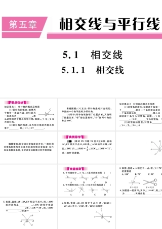 （江西专版）七年级数学下册 第五章 相交线与平行线5.1 相交线5.1.1 相交线习题课件（新版）新人教版-（新版）新人教版初中七年级下册数学课件