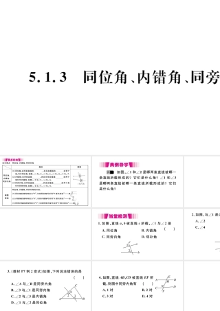 （江西专版）七年级数学下册 第五章 相交线与平行线5.1 相交线5.1.3 同位角、内错角、同旁内角习题课件（新版）新人教版-（新版）新人教版初中七年级下册数学课件