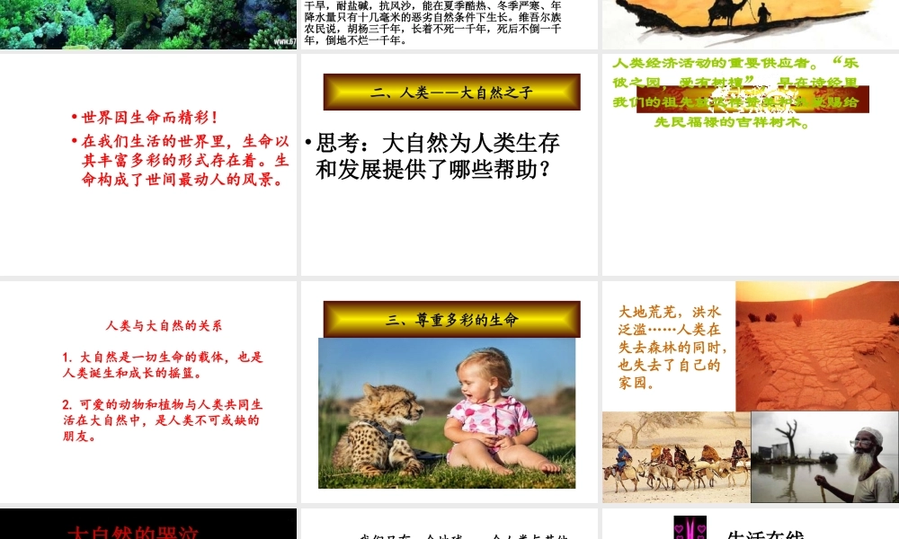 （水滴系列）（秋季版）七年级道德与法治下册 第15课 呵护宝贵的生命 第1框 世界因生命而精彩课件 鲁人版六三制-鲁人版初中七年级下册政治课件