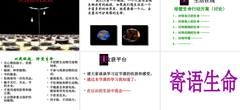 （水滴系列）（秋季版）七年级道德与法治下册 第15课 呵护宝贵的生命 第1框 世界因生命而精彩课件 鲁人版六三制-鲁人版初中七年级下册政治课件