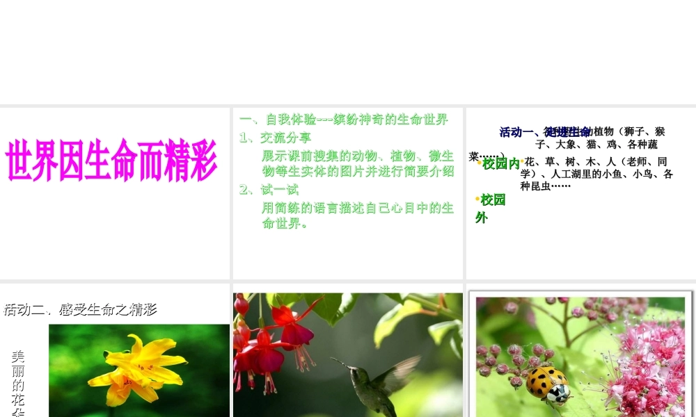 （水滴系列）（秋季版）七年级道德与法治下册 第八单元 珍爱生命 热爱生活 第15课 呵护宝贵的生命 第一框 世界因生命而精彩课件 鲁人版六三制-鲁人版初中七年级下册政治课件