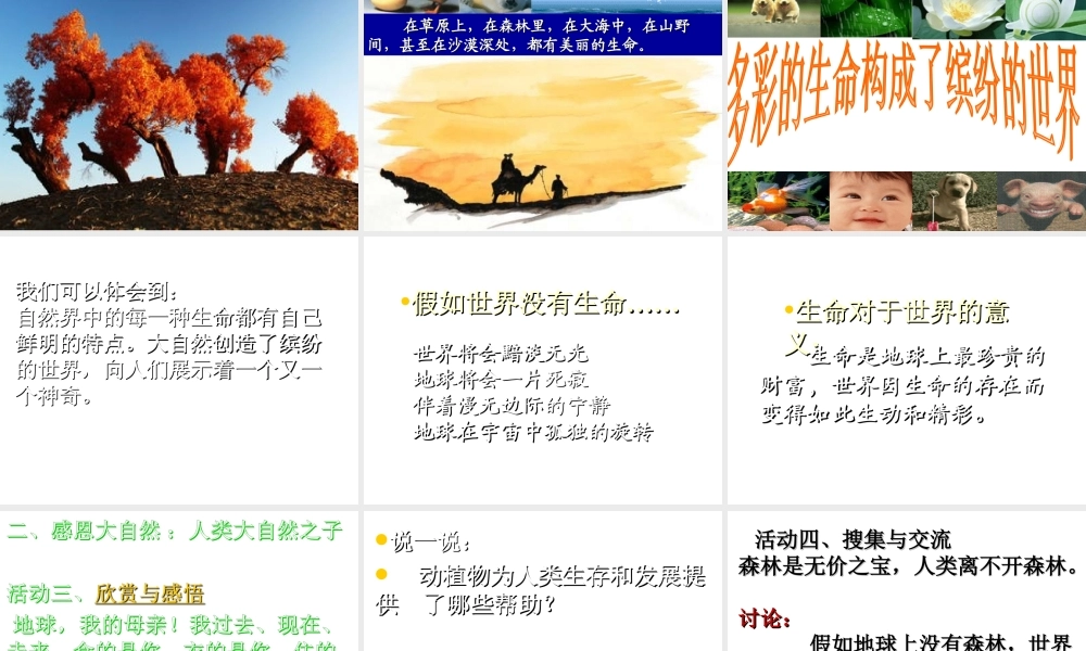 （水滴系列）（秋季版）七年级道德与法治下册 第八单元 珍爱生命 热爱生活 第15课 呵护宝贵的生命 第一框 世界因生命而精彩课件 鲁人版六三制-鲁人版初中七年级下册政治课件