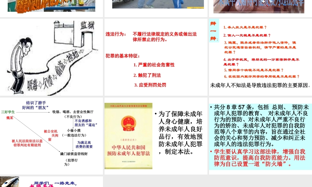 （水滴系列）（秋季版）七年级道德与法治下册 第九单元 撑起法律保护伞 第18课 让法律为成长护航 第2框 为自己设置一道“防火墙”课件 鲁人版六三制-鲁人版初中七年级下册政治课件