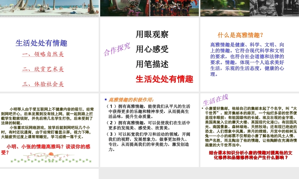 （水滴系列）（秋季版）七年级道德与法治下册 第七单元 心中拥有灿烂阳光第14课 过富有情趣的生活 多样的情趣 多彩的生活课件 鲁人版六三制-鲁人版初中七年级下册政治课件