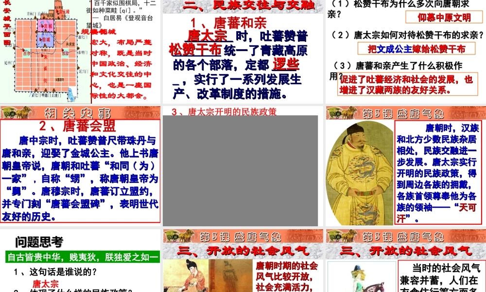 （水滴系列）（秋级历史下册 第3课 盛唐气象课件 新人教版