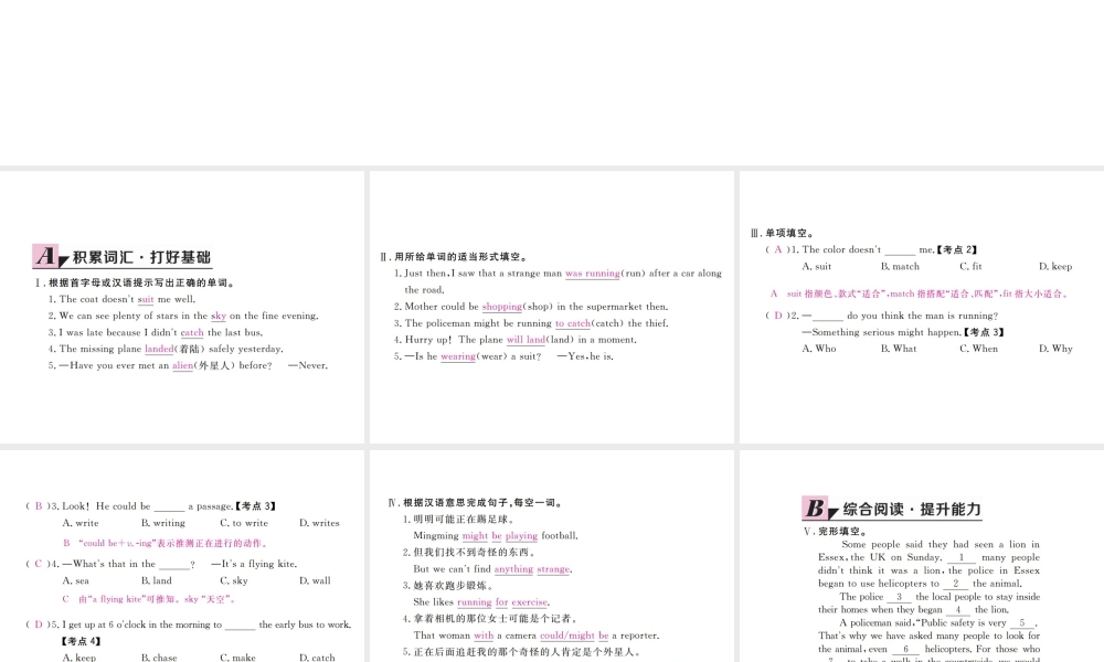 （江西专用）秋九年级英语全册 Unit 8 It must belong to Carla（第4课时）习题课件 （新版）人教新目标版-（新版）人教新目标版初中九年级全册英语课件