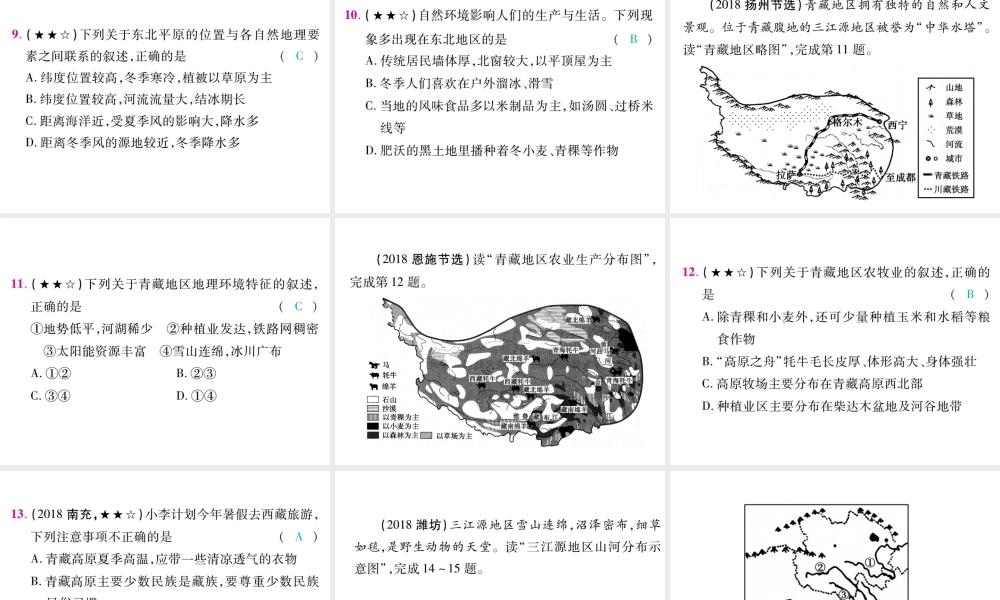 （江西专用）中考地理 第二节 认识省内和跨省区域——珠江三角洲、塔里木盆地、黄土高原、长江中下游平原、东北地区（东北三省）、青藏高原课件-人教版初中九年级全册地理课件