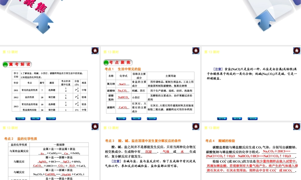 （河北专版）2014中考化学复习方案 第13课时 生活中常见的盐课件（冀考解读 +考点聚焦+冀考探究，含2013试题）