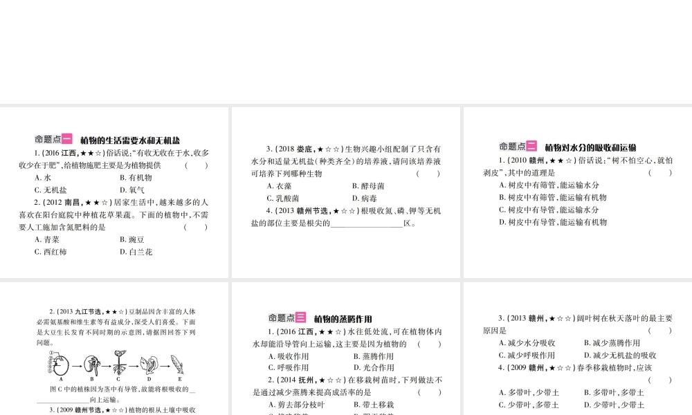 （江西专版）中考生物总复习 四 生物圈中的绿色植物（绿色植物的生活需要水和无机盐）教材整理课件-人教级全册生物课件