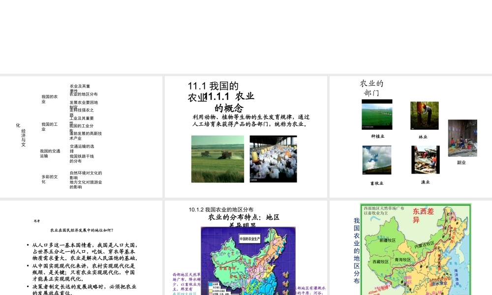 （江西专用）中考地理 第十一章 经济与文化复习课件-人教版初中九年级全册地理课件