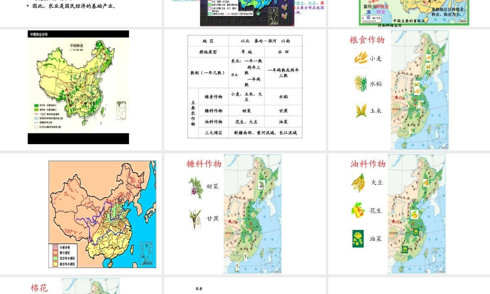 （江西专用）中考地理 第十一章 经济与文化复习课件-人教版初中九年级全册地理课件