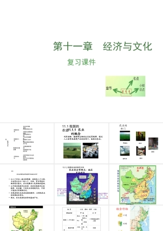 （江西专用）中考地理 第十一章 经济与文化复习课件-人教版初中九年级全册地理课件